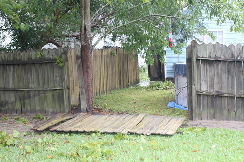 Section of fence blown over during Hurricane Irma